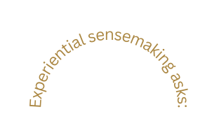 Experiential sensemaking asks